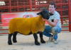 Lot 11 (Ewe) from I and J Barbour Solwaybank sold for 4200